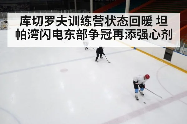 库切罗夫训练营状态回暖 坦帕湾闪电东部争冠再添强心剂