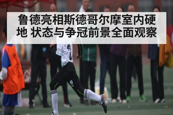 鲁德亮相斯德哥尔摩室内硬地 状态与争冠前景全面观察